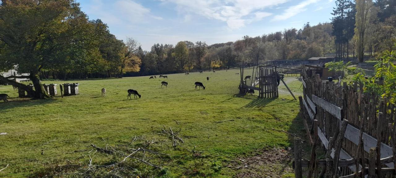 Ferienhaus Monika Villa Veitsrodt Esterno foto